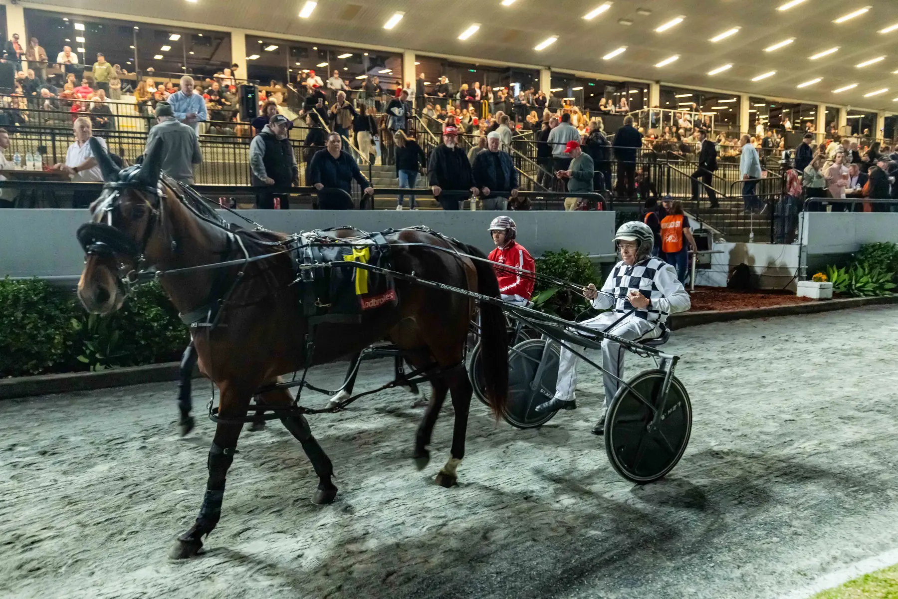 Harness racing drivers returning past a crowded grandstand at The Creek
